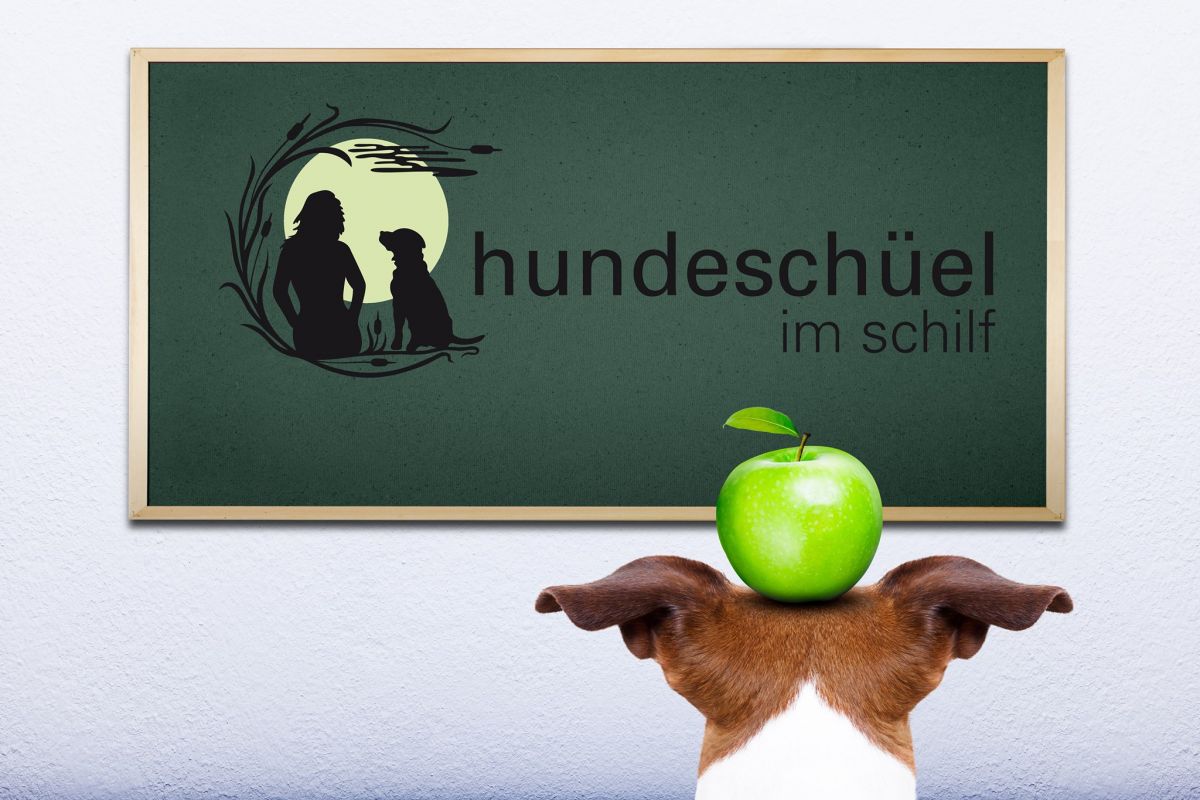 Hundeschule im Schilf